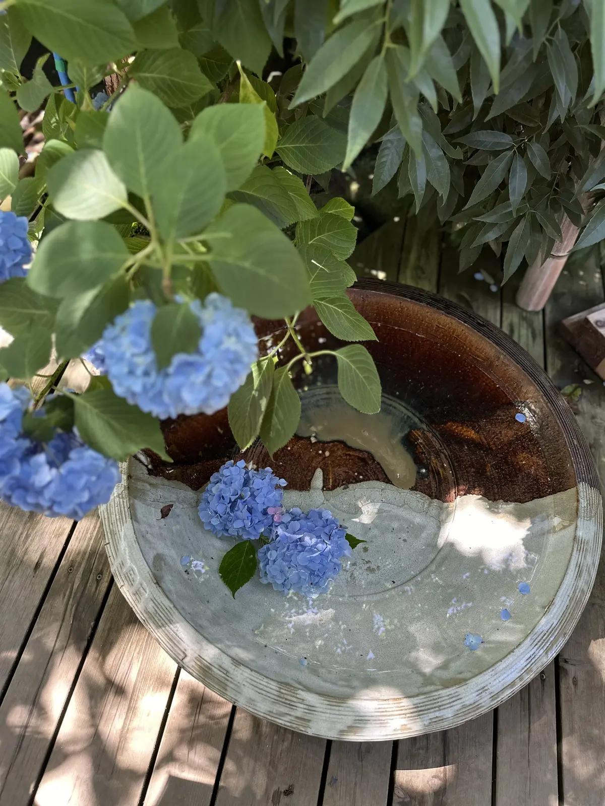 あじさいの花が咲き誇る初夏の北鎌倉明月院の画像_7