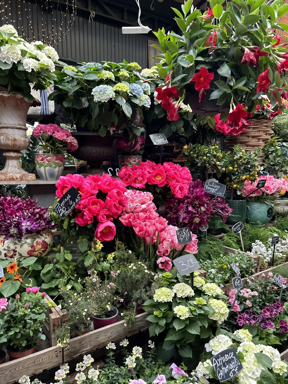 パリ　花市場　Marche aux Fleurs Reine Elizabeth II de Paris マルシェ・オ・フルール・レーヌ・エリザベス2世