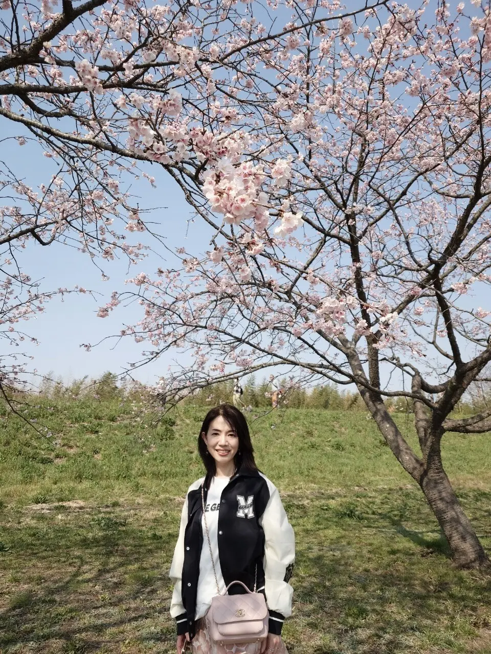 北浅羽桜堤公園