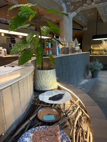 チョコレートだけじゃない！奥深いカカオのの画像_4