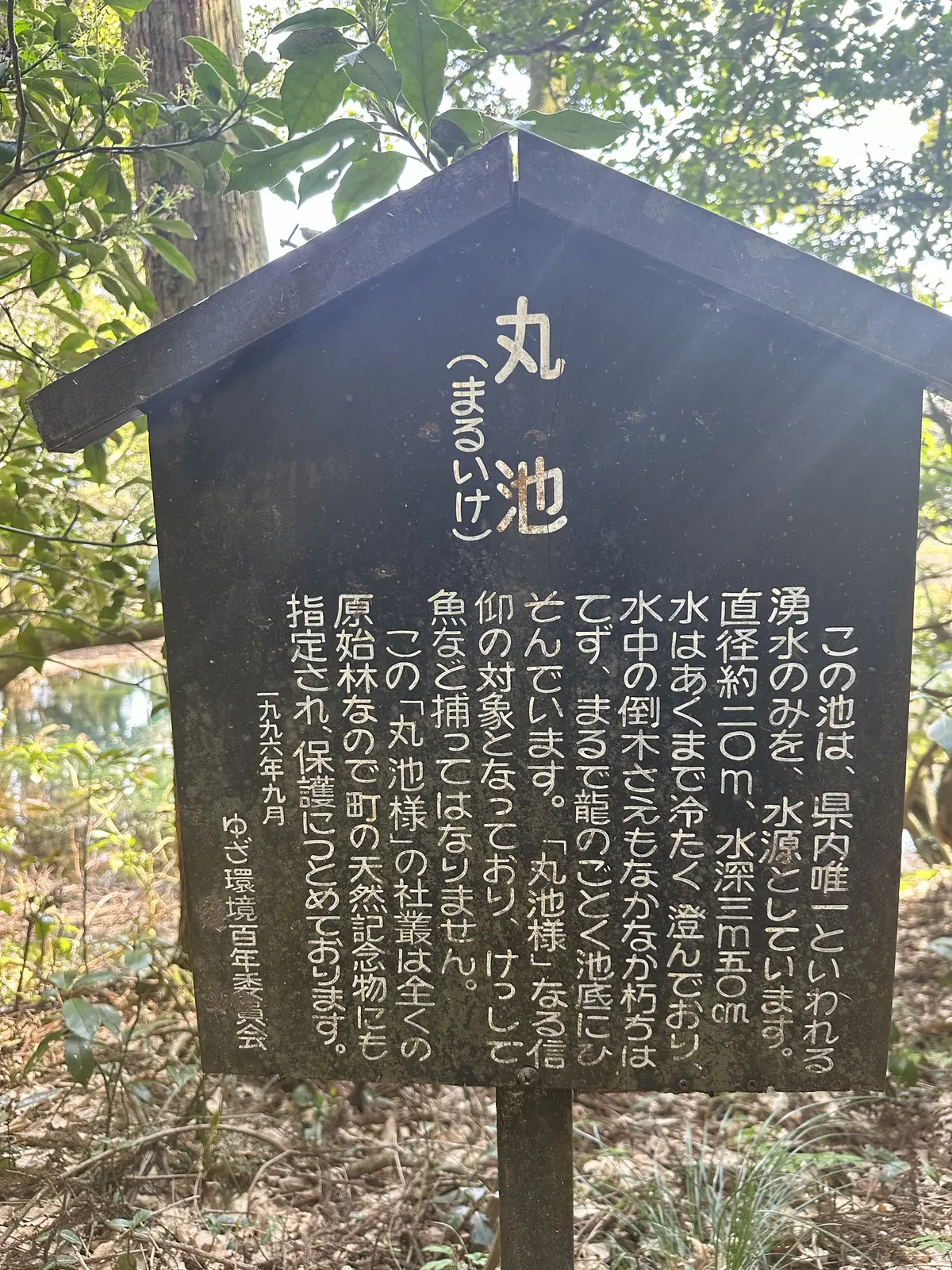 山形最強のパワースポット丸池様へ開運旅行の画像_27