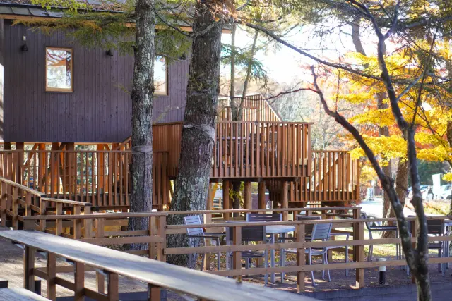 彩りの秋、紅葉真っ盛りの山中湖ドライブ♪の画像_10