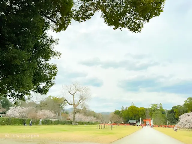 【さかぽんの冒険】前編☆もえぎ色の京都旅の画像_9