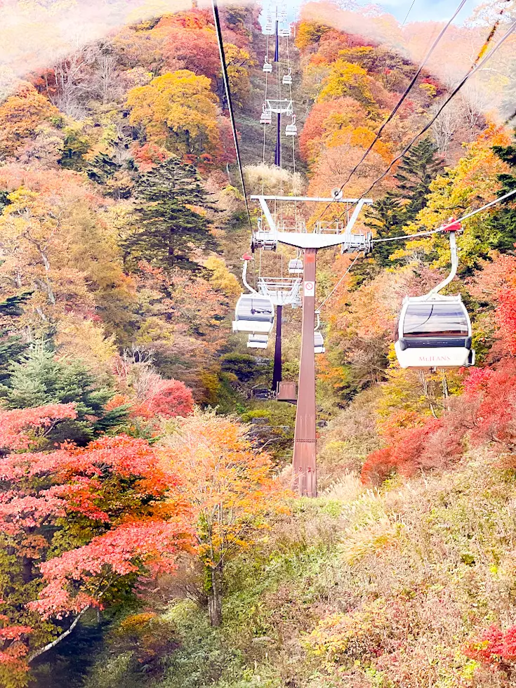 【新宿発】那須塩原🍁日帰りバスツアー体験の画像_6
