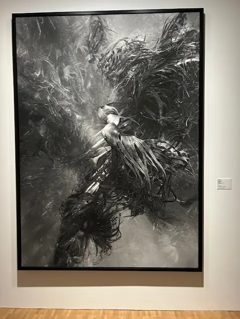 メゾンエルメスにて、アートとエコロジーのの画像_5