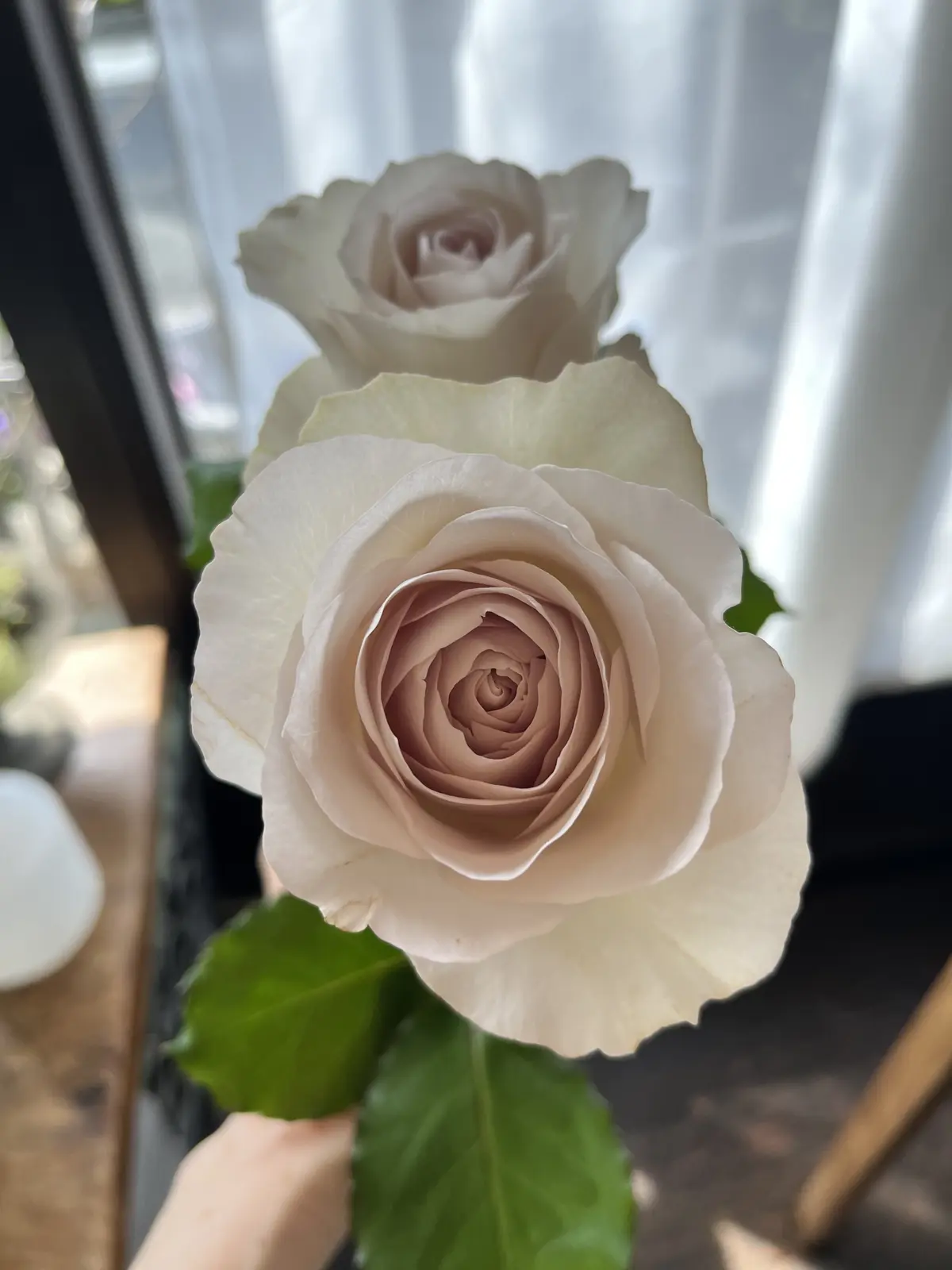 最近の〝花活〟の画像_5