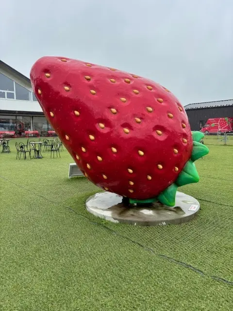 雨でも楽しいおでかけ♪いちご狩り＆道の駅の画像_1