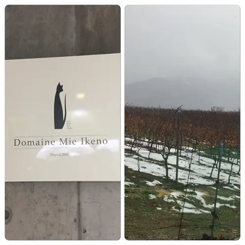 気品な味わいChristmas！の画像_2