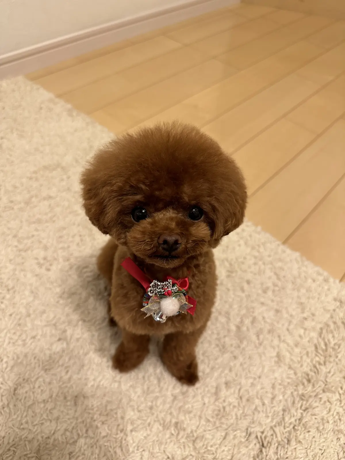 私の心が元気がないときのお気に入りの空間の画像_3