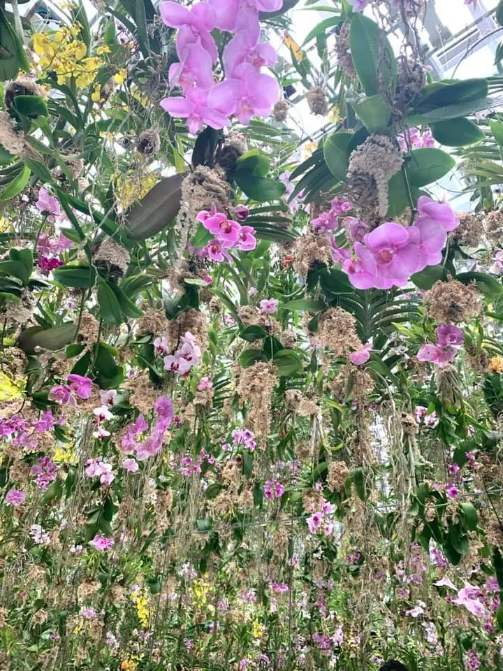 お花大好きな方におススメ。チームラボ豊洲の画像_2