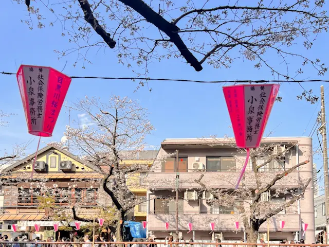 目黒川桜🌸まつり2024☆さあ、飲もう✨の画像_1