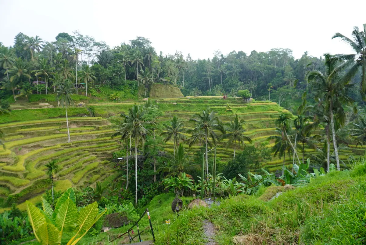 【2026年冬旅】年越しは夫婦で初めてのの画像_9