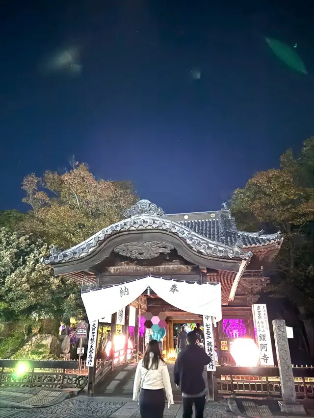 幻想的な雰囲気に包まれた灯りイベントの画像_3