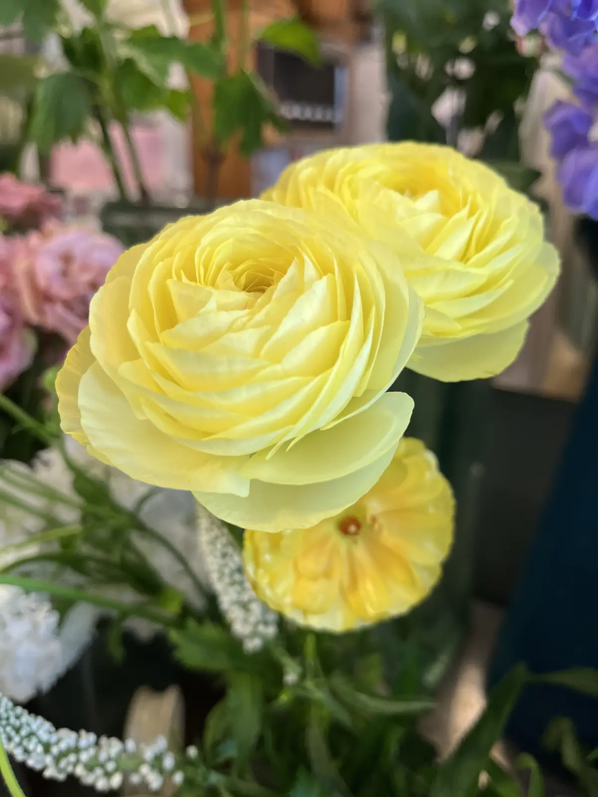 ハッとするようブーケをの画像_11