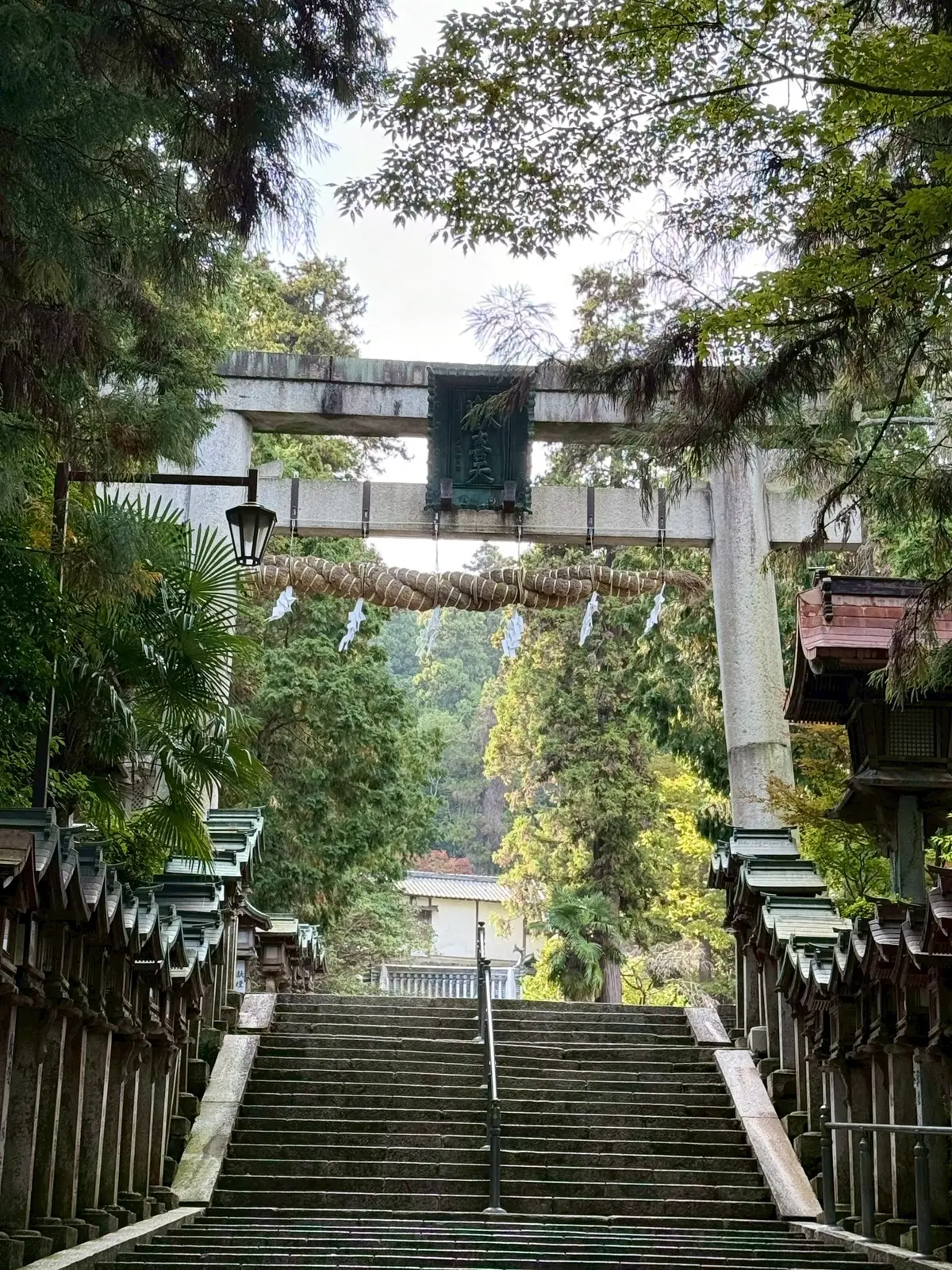 秋を感じる生駒山で山登りの画像_11