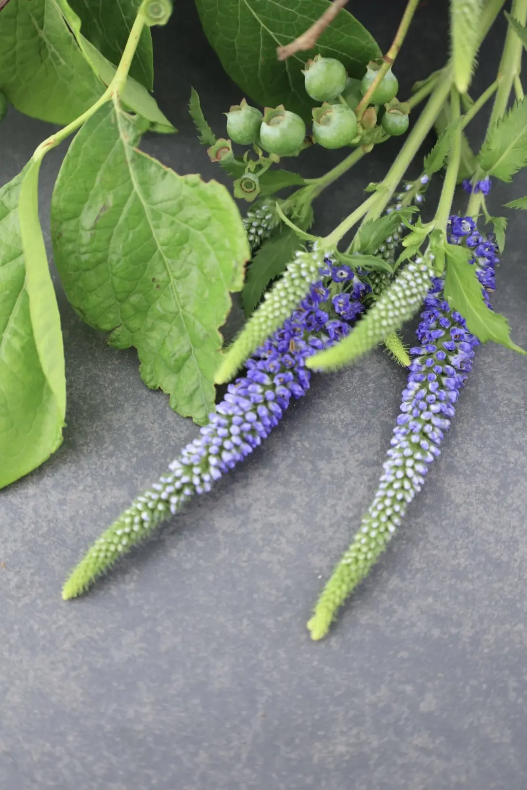 ベロニカのブーケ