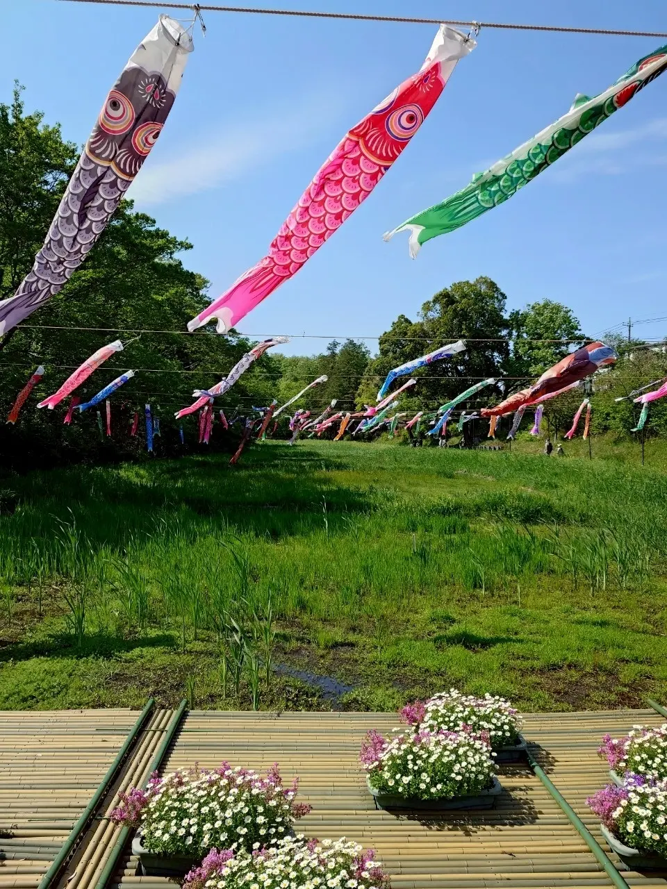 里山ガーデンフェスタ