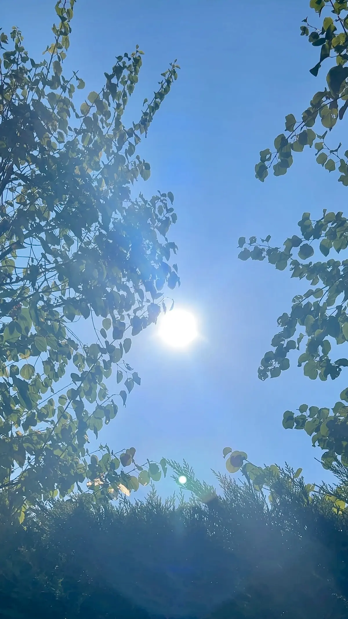 秋冬トレンドのチェック柄を主役にデニムでの画像_10