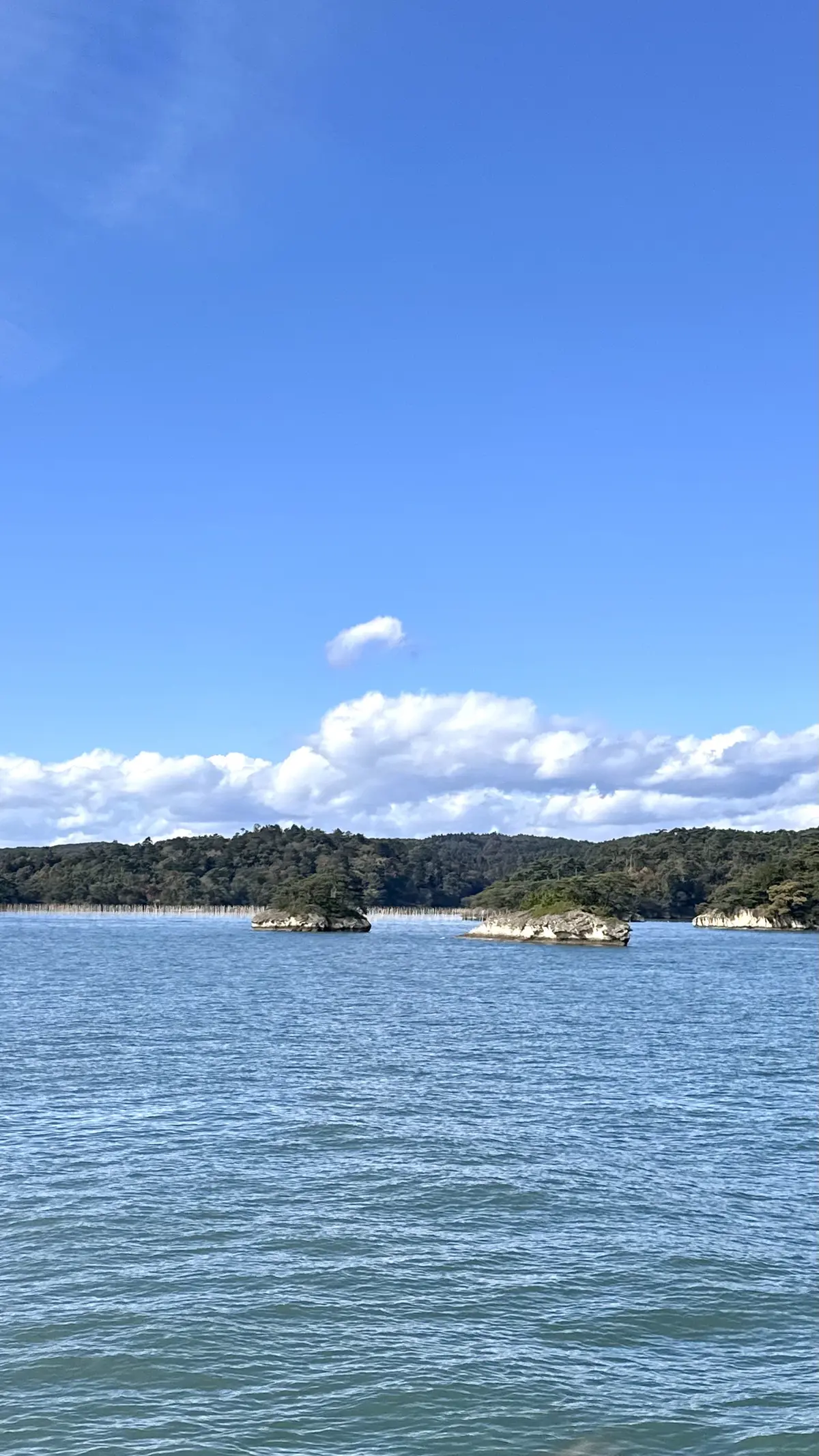 【秋の仙台旅行】「宮島」と「瑞巌寺」で鷹の画像_3