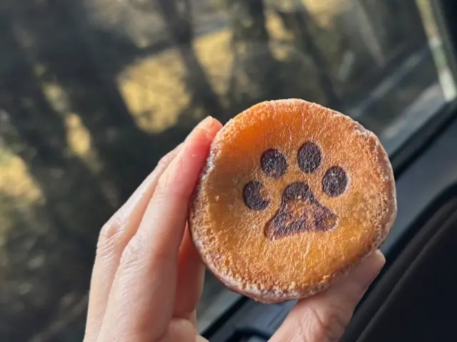 春のおでかけは、お気に入りのGUのワイドの画像_11