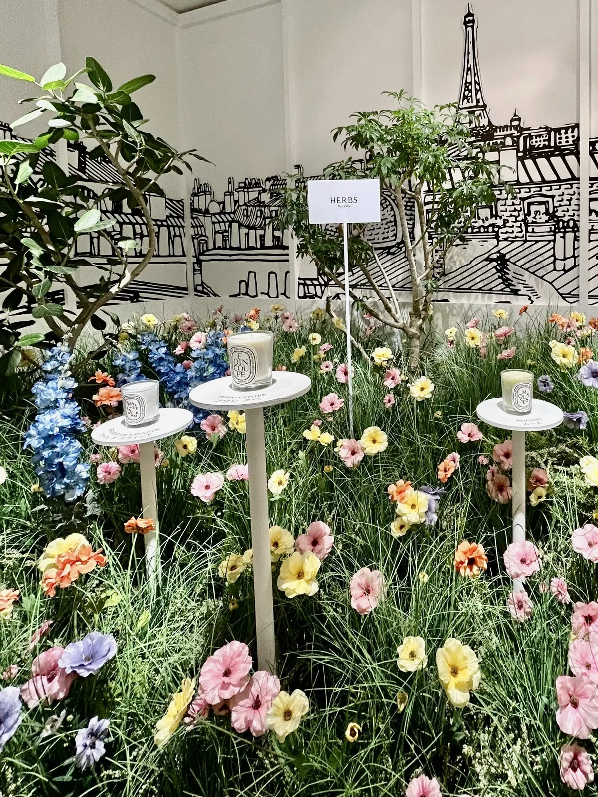 イマジネーションの庭園