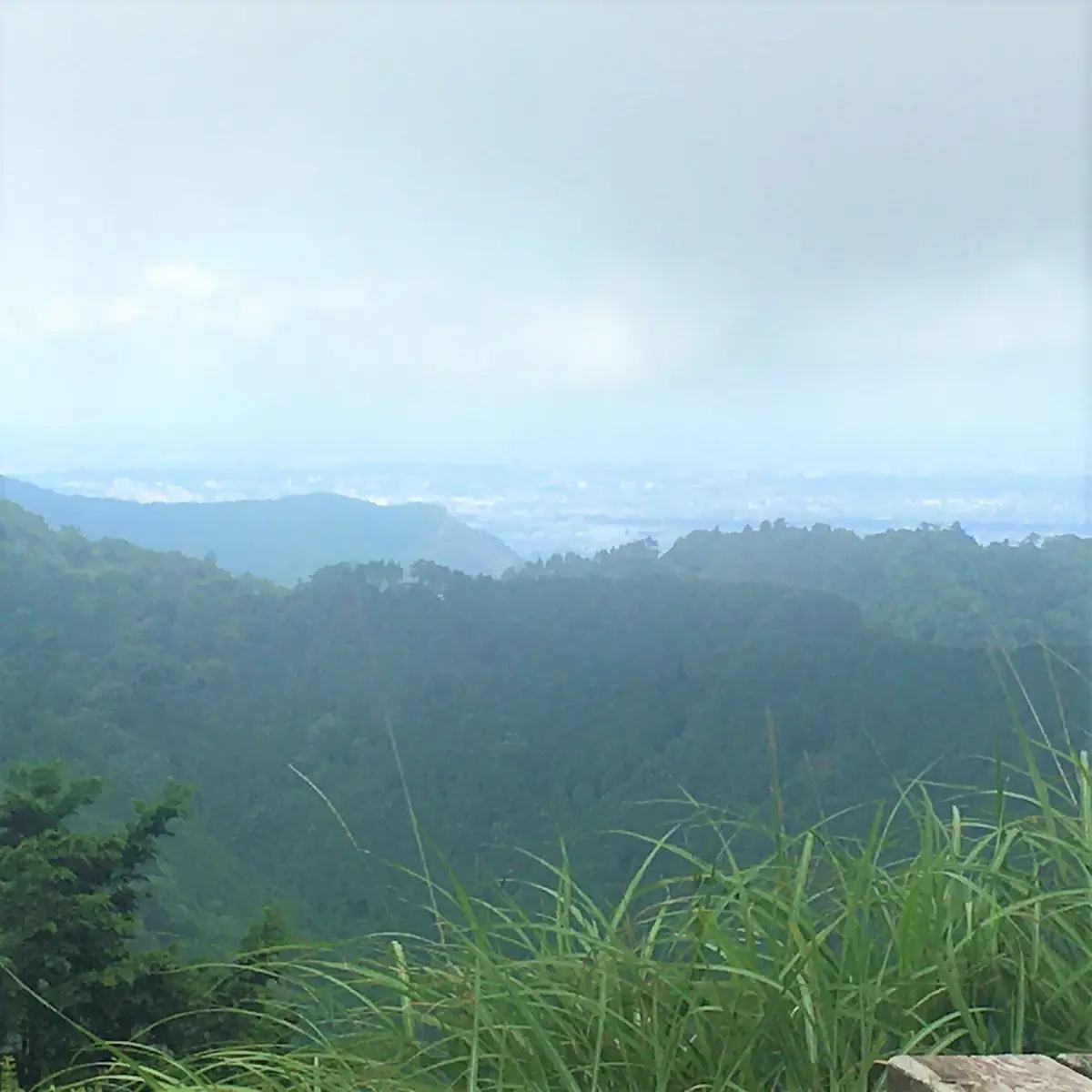 山頂からの眺め