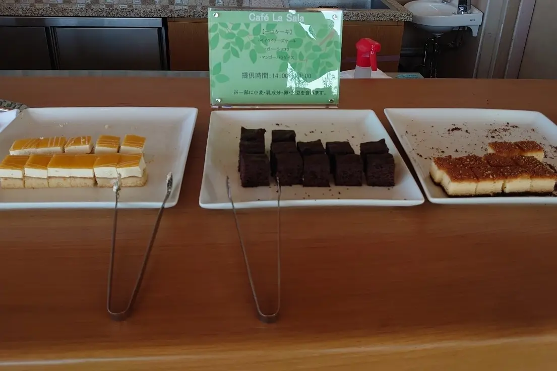 【GW旅行】一泊目は「ラビスタ観音崎テラの画像_21