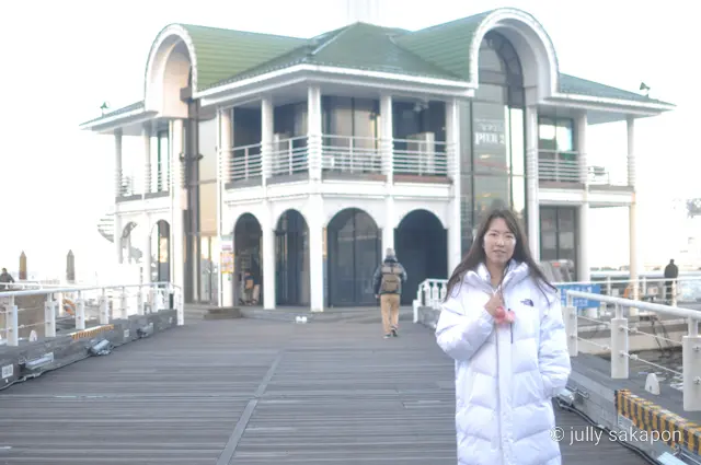 【さかぽんの冒険】こころキラメク冬の横浜の画像_11