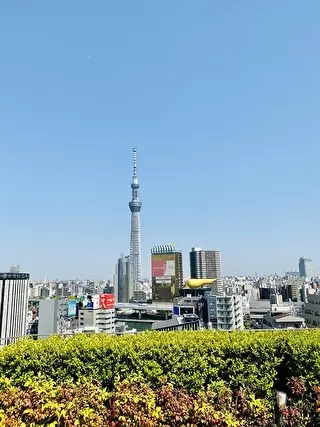 スカイツリーが見える景色