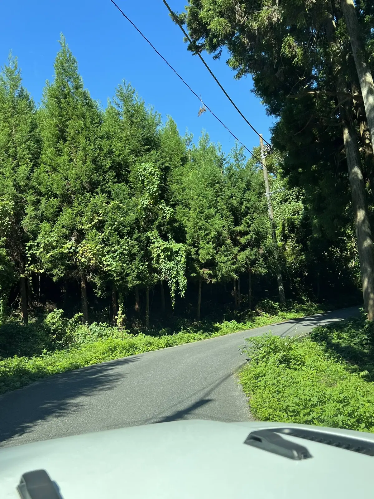 千葉「マザー牧場」までの道