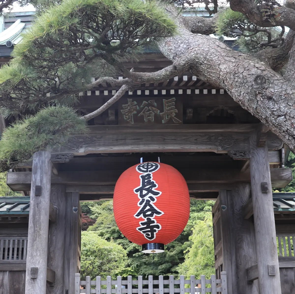 長谷寺　整理券　予約