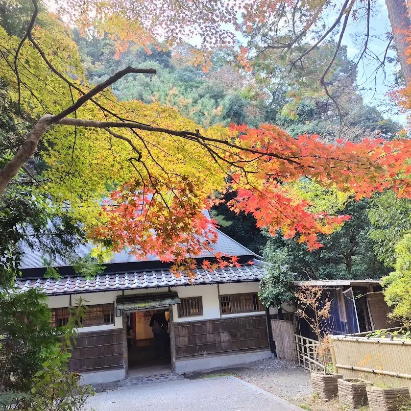 箕面の紅葉