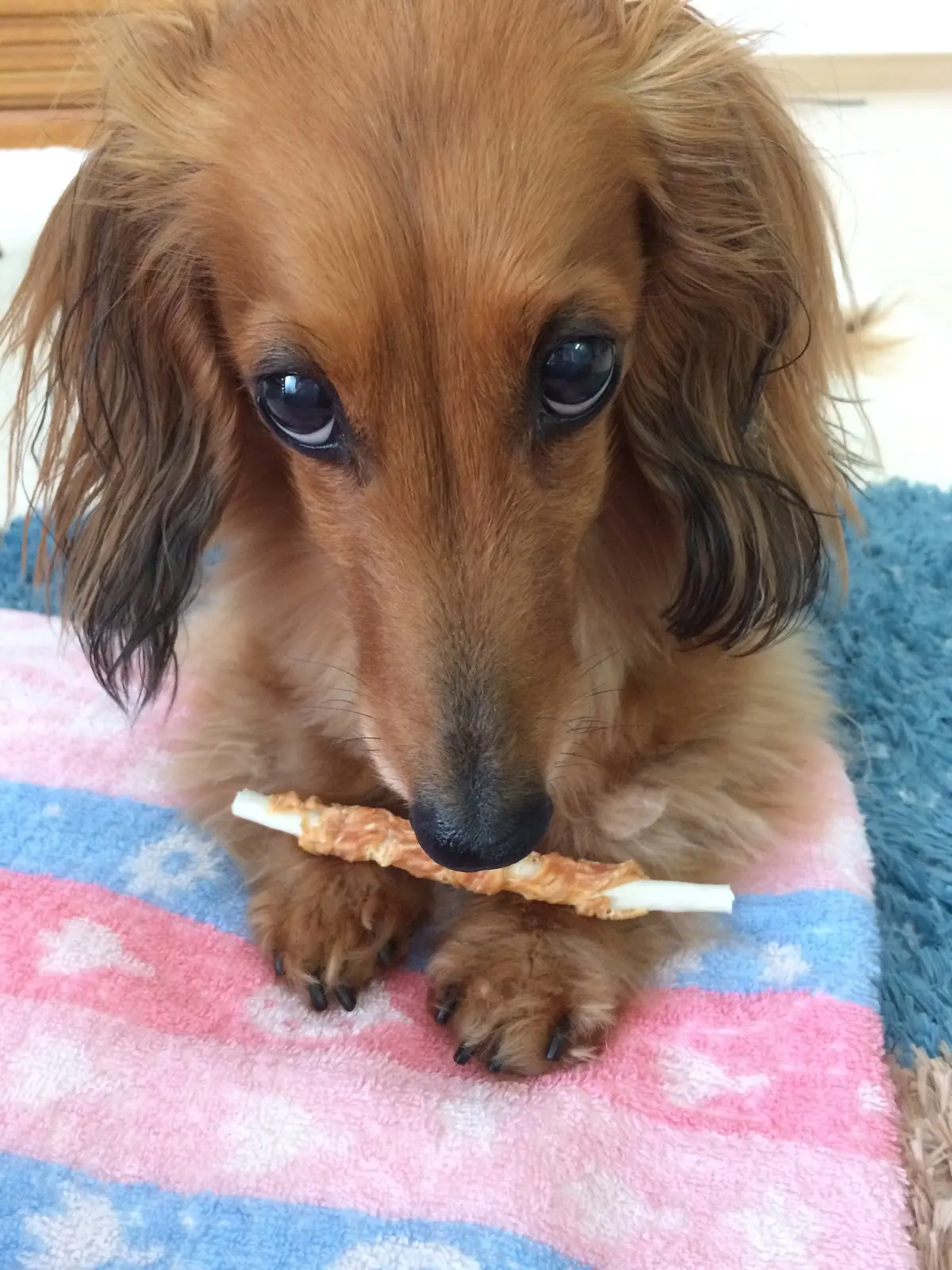 艶髪サラサラヘアを目指して　Refaドラの画像_6