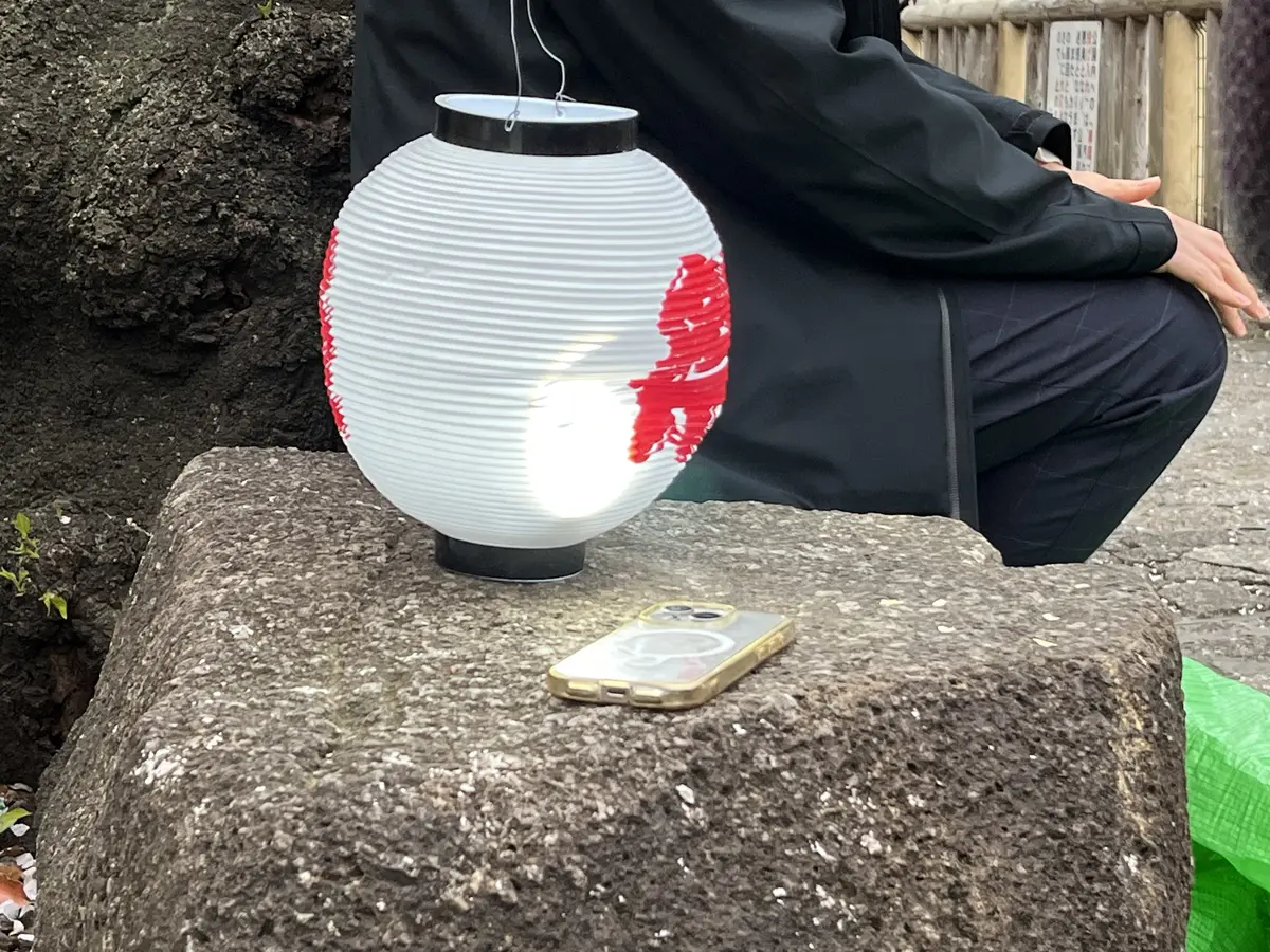 【王子・飛鳥山公園】夕方から夜桜鑑賞の画像_5