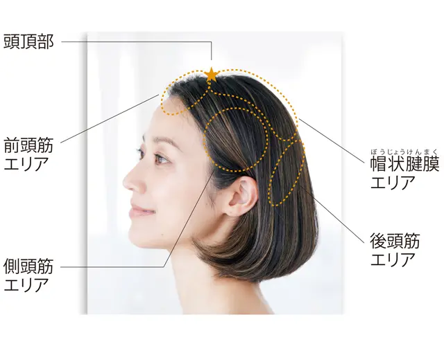 ほぐせばトラブルが一挙に解消する、アラフィーの“頭皮コリ”5ゾーンとは？
