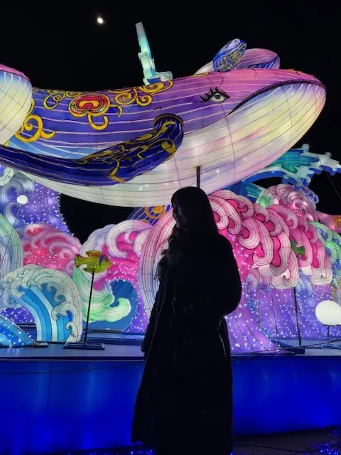 ドイツ村のウィンターイルミネーション素敵の画像_4