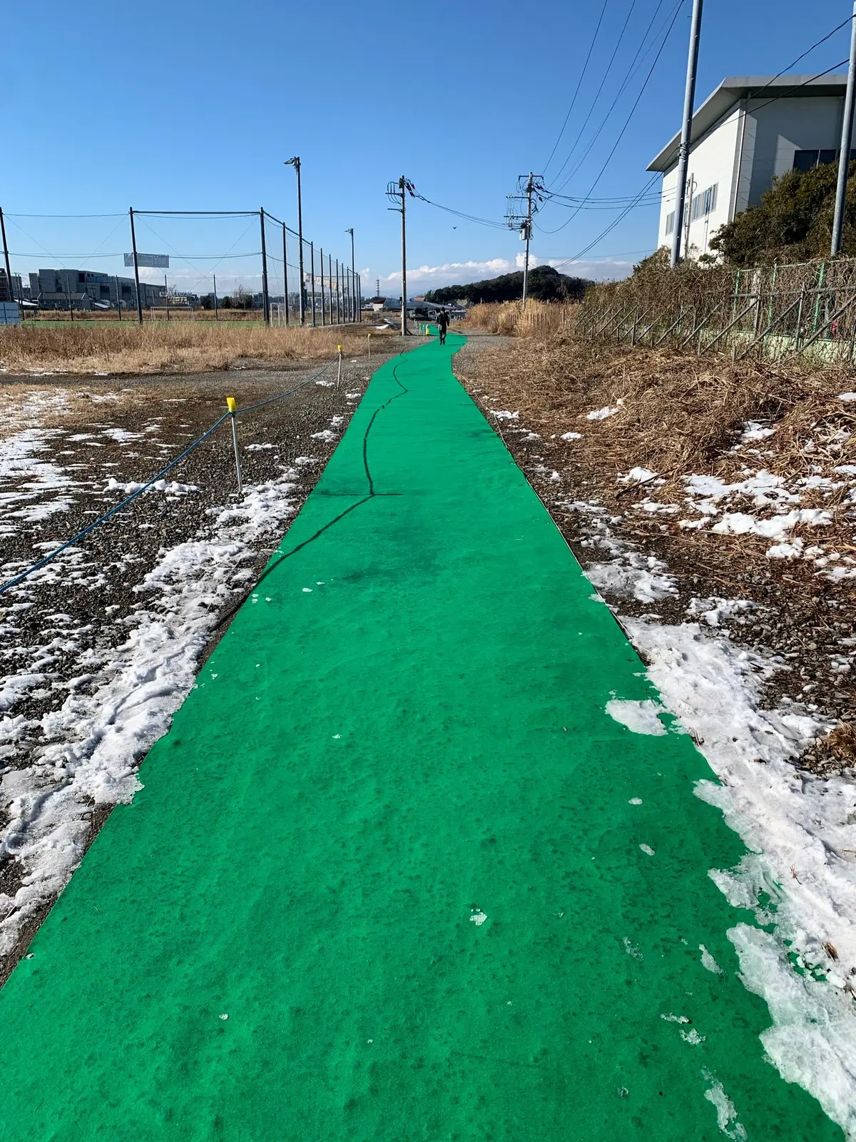 サーカス！の画像_5