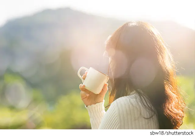 最近は南房総などの里山も人気