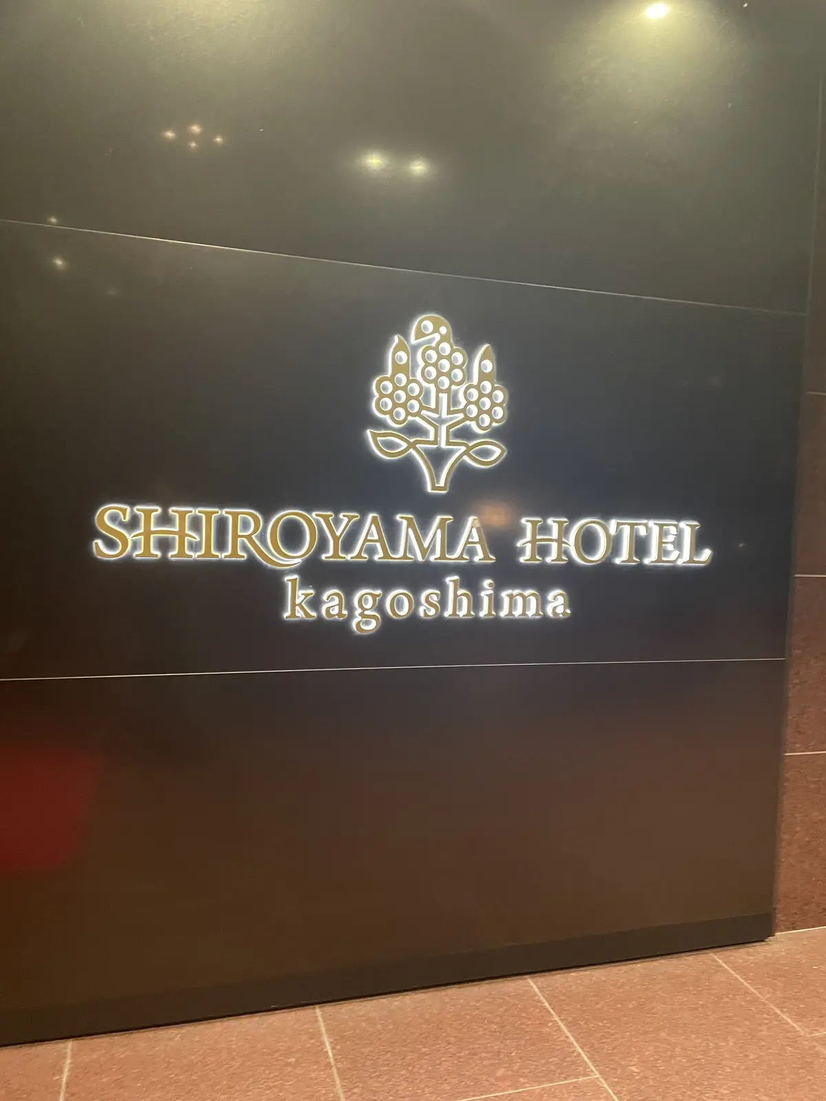 弾丸１泊、新幹線さくらで行く、鹿児島旅編の画像_21