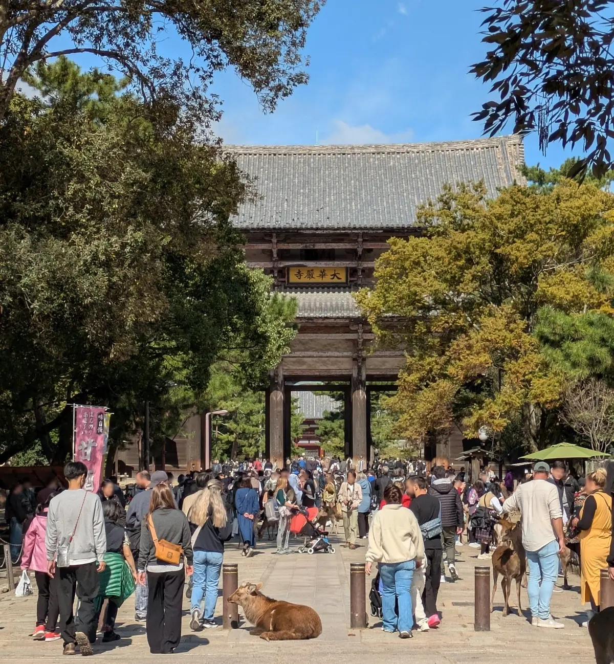 続) 秋の奈良　奈良散策と楽しいひとときの画像_1