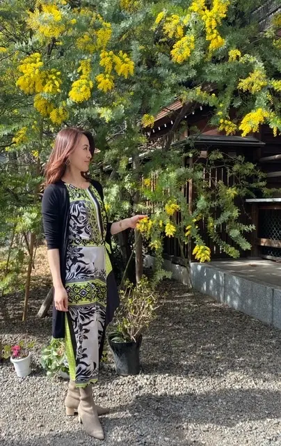 ミモザが美しい蔵前神社への画像_3