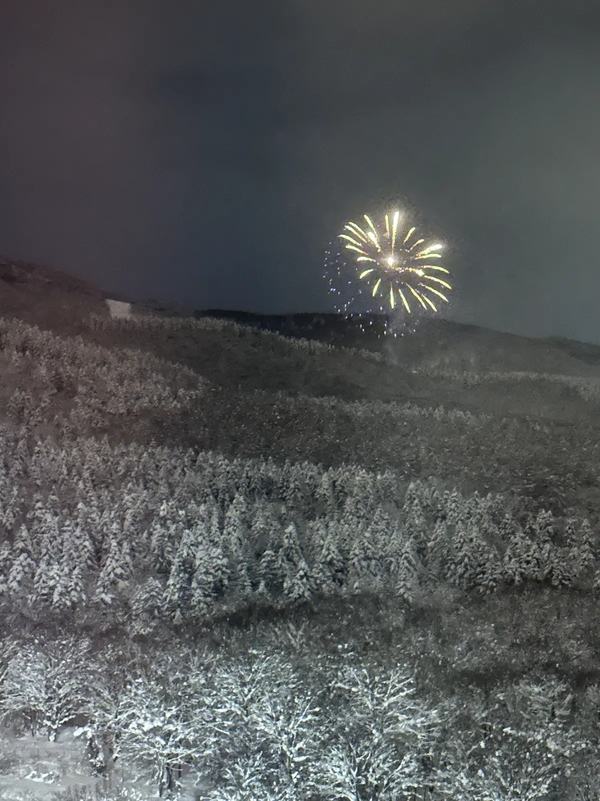 今シーズン初滑りは沢山の魅力に溢れたニセの画像_21