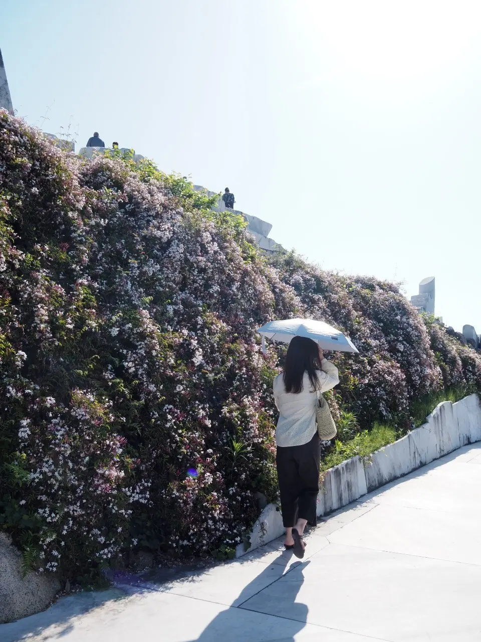 耕三寺・未来心の丘から人生最高のレモネーの画像_11