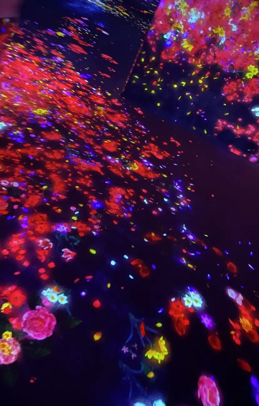 デジタルアート ミュージアム お台場✨「の画像_1