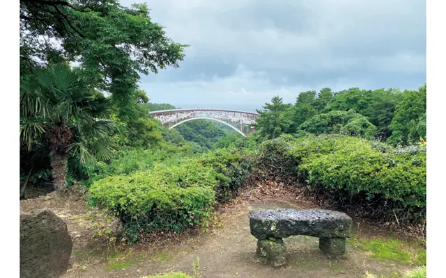 済州島は信じられないくらいグリーンが青々として美しかった