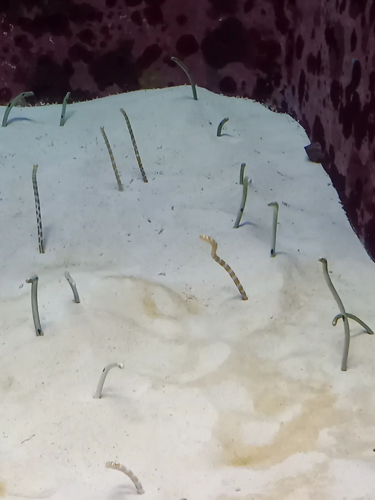 【沖縄】大人の修学旅行♡王道スポット＆沖の画像_13