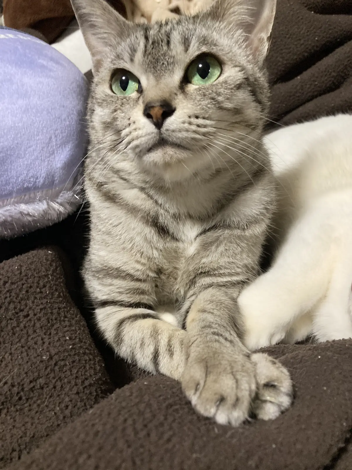 我が家の癒し　の画像_2