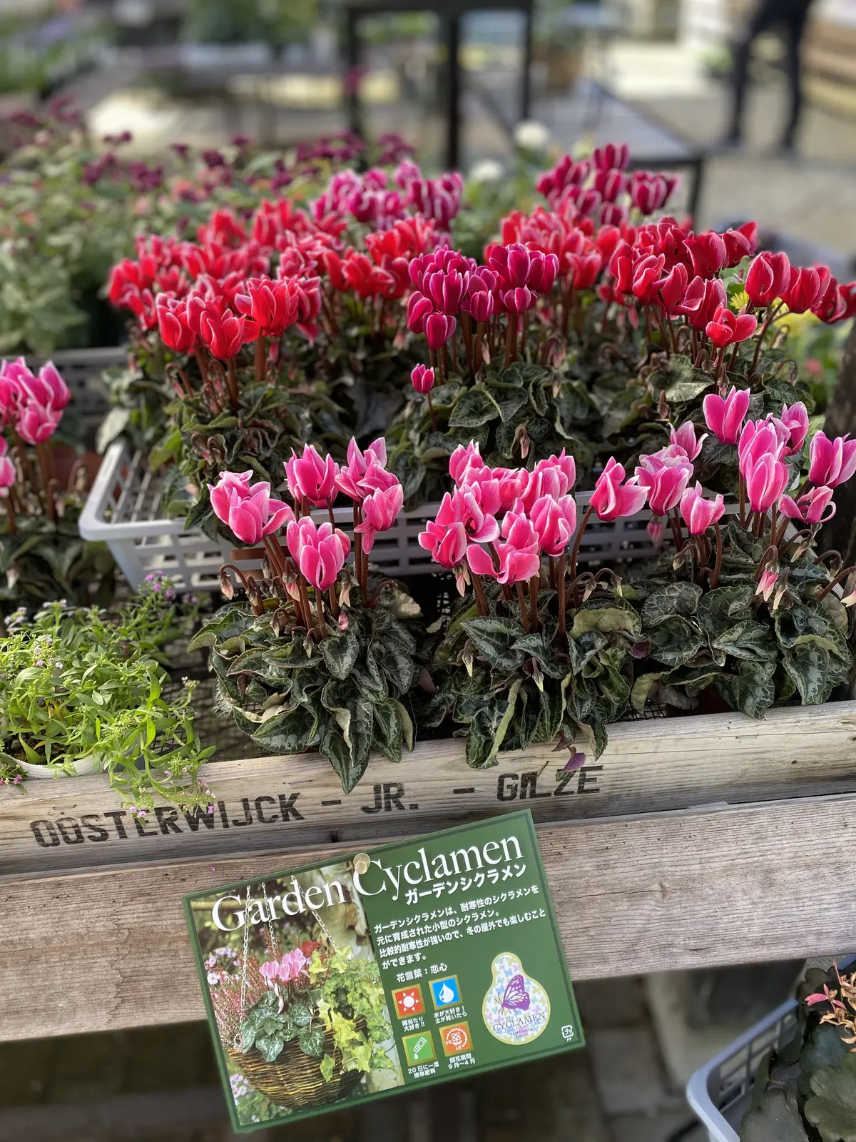 コピスガーデン