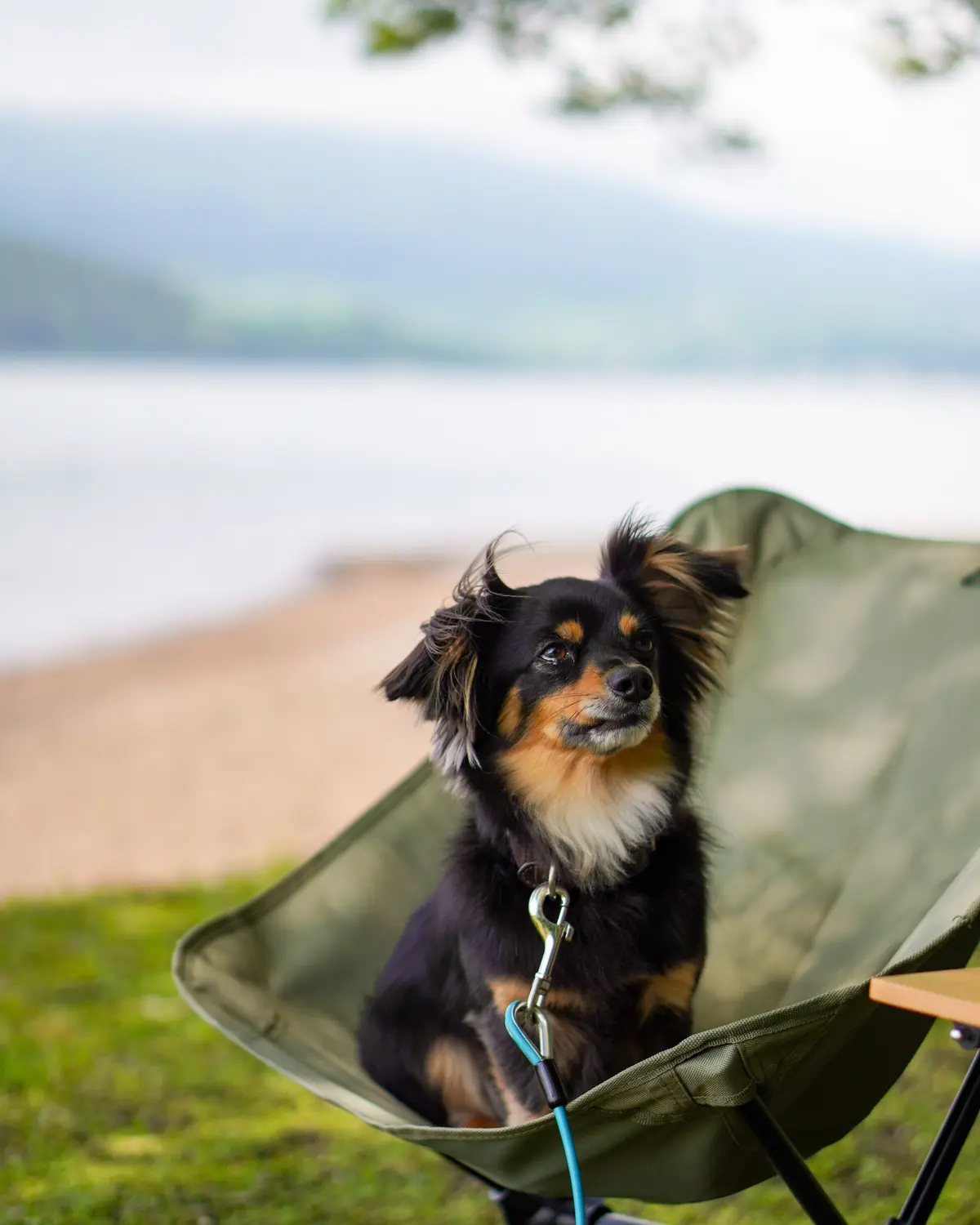 新緑の中、心地よい時間を過ごせるカフェ♪の画像_8