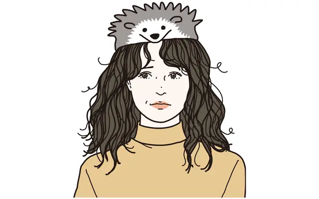 ハリネズミさんタイプ